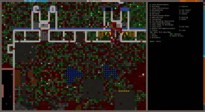 Dwarf Fortress v0.42.05 [Rus / Eng] (2006)